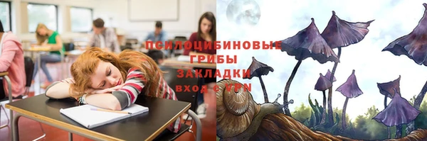 дживик Верея
