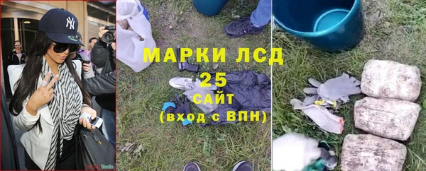 дживик Верея