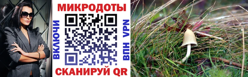 Купить закладки  Белокуриха  Галлюциногенные грибы мухоморы 